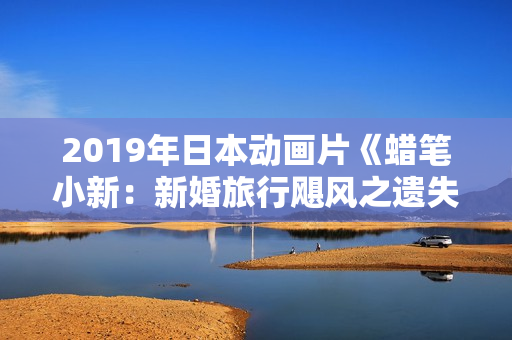 2019年日本动画片《蜡笔小新：新婚旅行飓风之遗失的野原广志》BD国粤日语中字