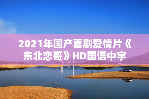 2021年国产喜剧爱情片《东北恋哥》HD国语中字