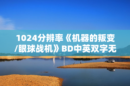 1024分辨率《机器的叛变/眼球战机》BD中英双字无水印