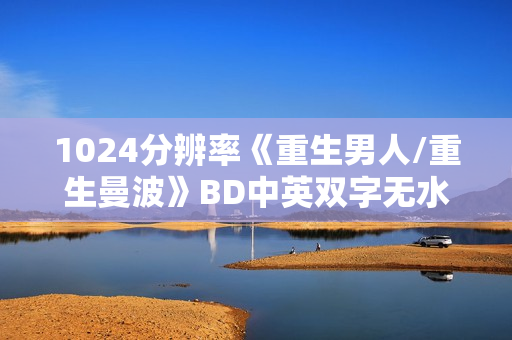 1024分辨率《重生男人/重生曼波》BD中英双字无水印