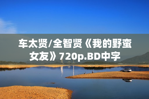 车太贤/全智贤《我的野蛮女友》720p.BD中字