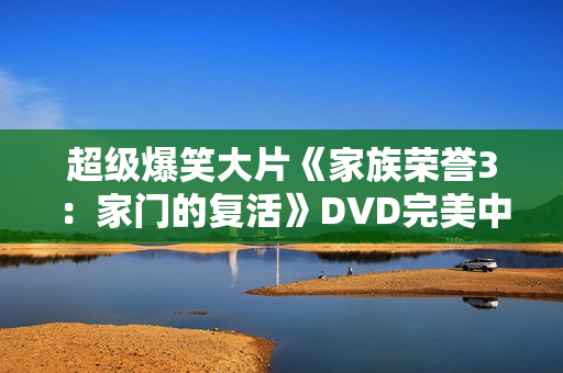 超级爆笑大片《家族荣誉3：家门的复活》DVD完美中字