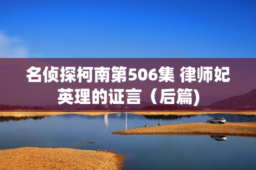 名侦探柯南第506集 律师妃英理的证言（后篇)