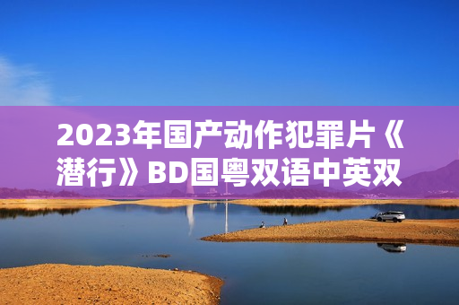2023年国产动作犯罪片《潜行》BD国粤双语中英双字