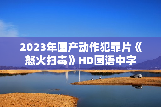 2023年国产动作犯罪片《怒火扫毒》HD国语中字