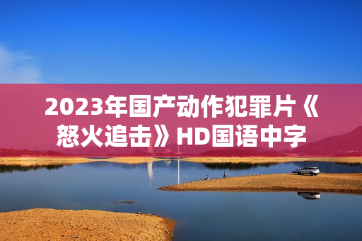 2023年国产动作犯罪片《怒火追击》HD国语中字