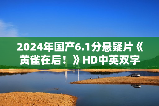 2024年国产6.1分悬疑片《黄雀在后！》HD中英双字