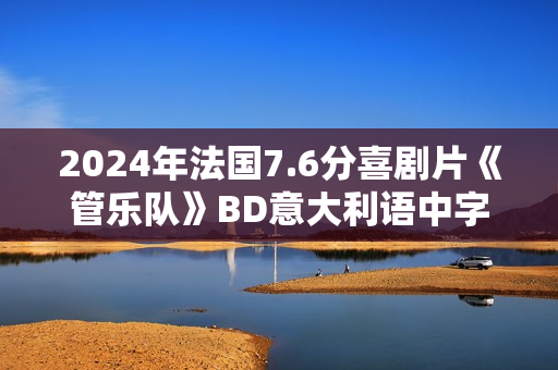 2024年法国7.6分喜剧片《管乐队》BD意大利语中字