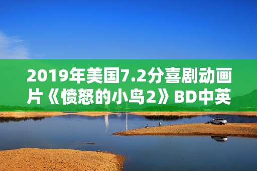 2019年美国7.2分喜剧动画片《愤怒的小鸟2》BD中英双字修复