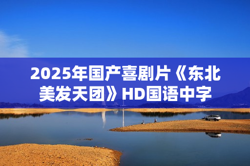 2025年国产喜剧片《东北美发天团》HD国语中字