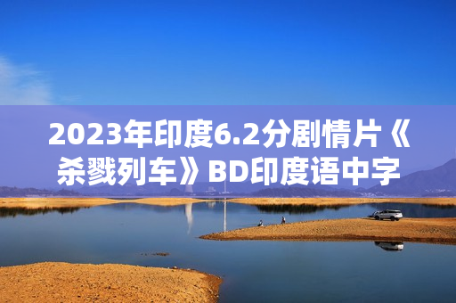 2023年印度6.2分剧情片《杀戮列车》BD印度语中字