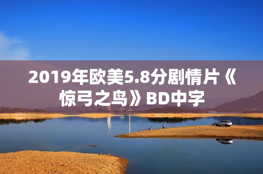 2019年欧美5.8分剧情片《惊弓之鸟》BD中字