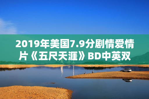 2019年美国7.9分剧情爱情片《五尺天涯》BD中英双字