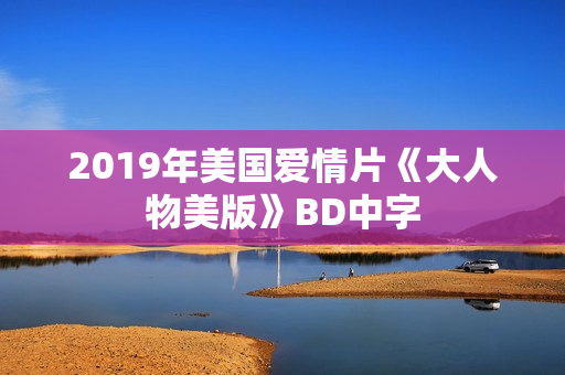 2019年美国爱情片《大人物美版》BD中字