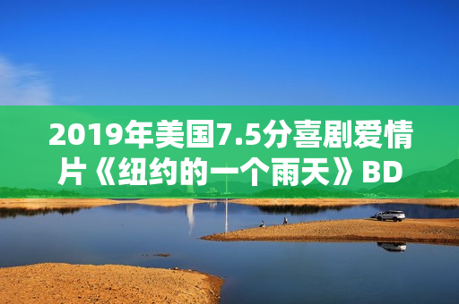 2019年美国7.5分喜剧爱情片《纽约的一个雨天》BD中字