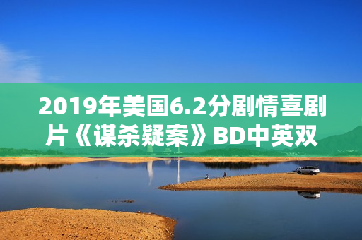 2019年美国6.2分剧情喜剧片《谋杀疑案》BD中英双字