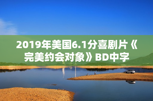 2019年美国6.1分喜剧片《完美约会对象》BD中字