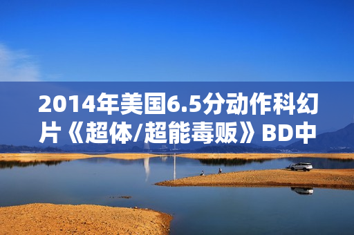 2014年美国6.5分动作科幻片《超体/超能毒贩》BD中英双字