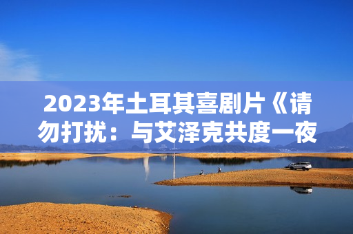 2023年土耳其喜剧片《请勿打扰：与艾泽克共度一夜》BD土耳其语中字