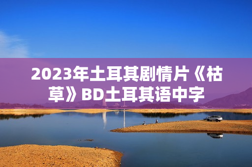 2023年土耳其剧情片《枯草》BD土耳其语中字