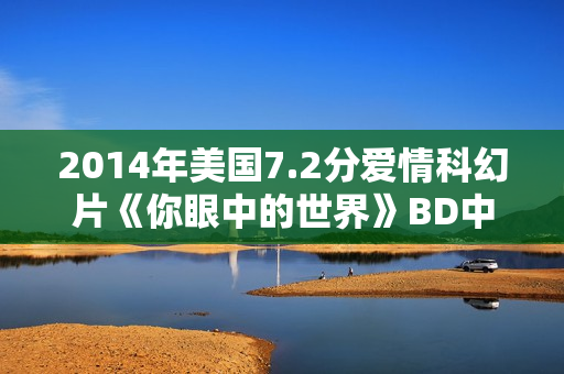 2014年美国7.2分爱情科幻片《你眼中的世界》BD中英双字