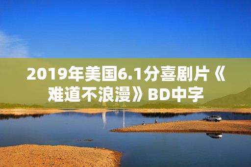 2019年美国6.1分喜剧片《难道不浪漫》BD中字