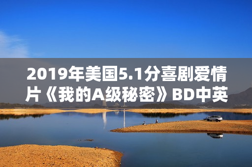 2019年美国5.1分喜剧爱情片《我的A级秘密》BD中英双字