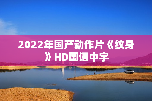 2022年国产动作片《纹身》HD国语中字