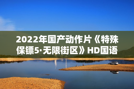 2022年国产动作片《特殊保镖5·无限街区》HD国语中字