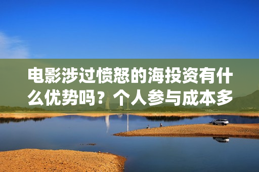 电影涉过愤怒的海投资有什么优势吗？个人参与成本多少？(电影涉过愤怒的海演员表)