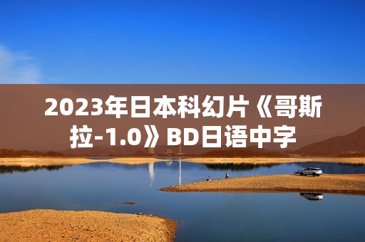 2023年日本科幻片《哥斯拉-1.0》BD日语中字