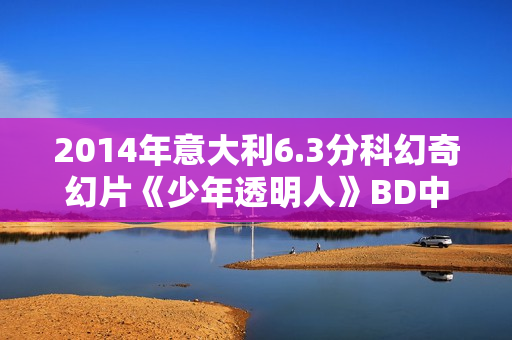 2014年意大利6.3分科幻奇幻片《少年透明人》BD中英双字