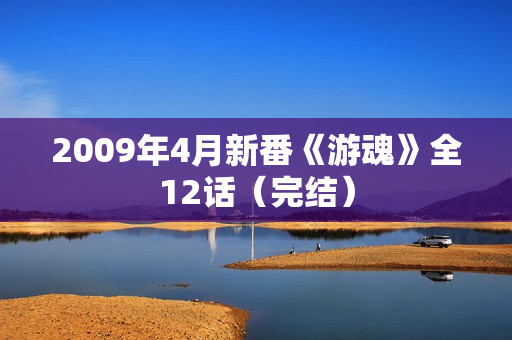 2009年4月新番《游魂》全12话（完结）