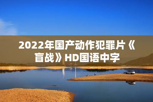 2022年国产动作犯罪片《盲战》HD国语中字