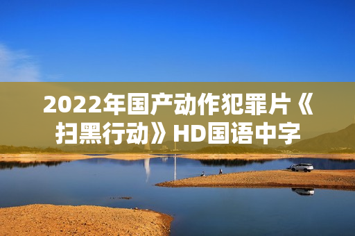 2022年国产动作犯罪片《扫黑行动》HD国语中字