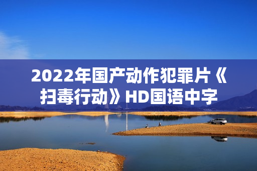 2022年国产动作犯罪片《扫毒行动》HD国语中字