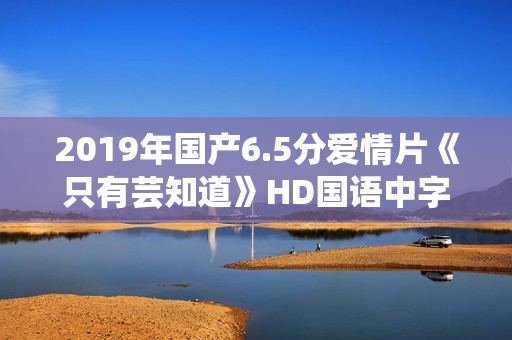 2019年国产6.5分爱情片《只有芸知道》HD国语中字修复版