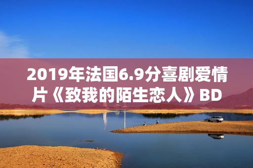 2019年法国6.9分喜剧爱情片《致我的陌生恋人》BD中字 2019年法国6.9分喜剧爱情片《致我的陌生恋人》BD中字