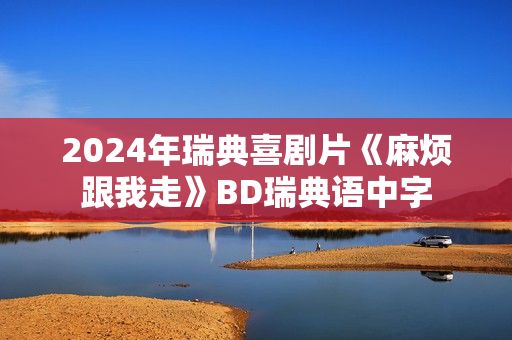 2024年瑞典喜剧片《麻烦跟我走》BD瑞典语中字 2024年瑞典喜剧片《麻烦跟我走》BD瑞典语中字