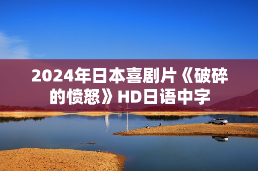 2024年日本喜剧片《破碎的愤怒》HD日语中字