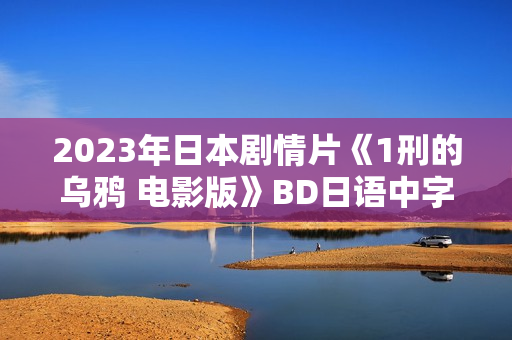 2023年日本剧情片《1刑的乌鸦 电影版》BD日语中字