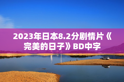 2023年日本8.2分剧情片《完美的日子》BD中字