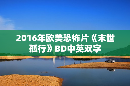 2016年欧美恐怖片《末世孤行》BD中英双字
