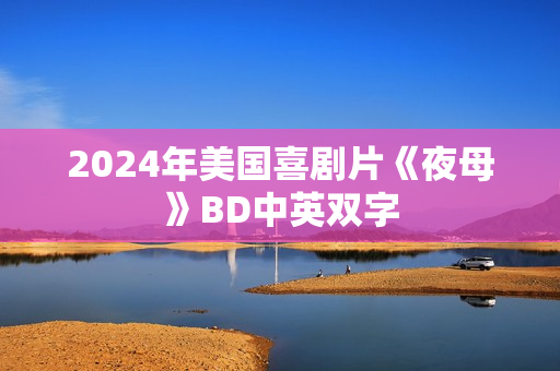 2024年美国喜剧片《夜母》BD中英双字