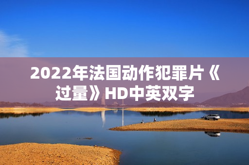 2022年法国动作犯罪片《过量》HD中英双字