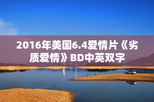2016年美国6.4爱情片《劣质爱情》BD中英双字 2016年美国6.4爱情片《劣质爱情》BD中英双字