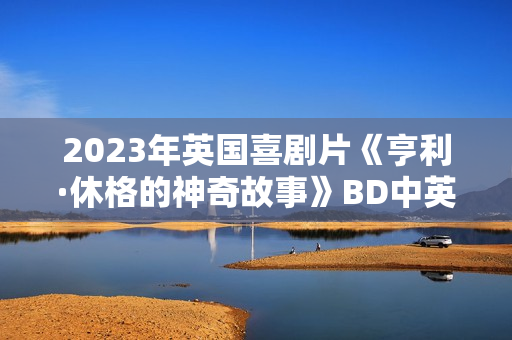 2023年英国喜剧片《亨利·休格的神奇故事》BD中英双字