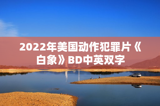2022年美国动作犯罪片《白象》BD中英双字