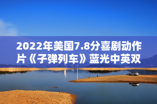 2022年美国7.8分喜剧动作片《子弹列车》蓝光中英双字