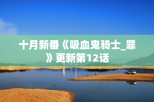 十月新番《吸血鬼骑士_罪》更新第12话